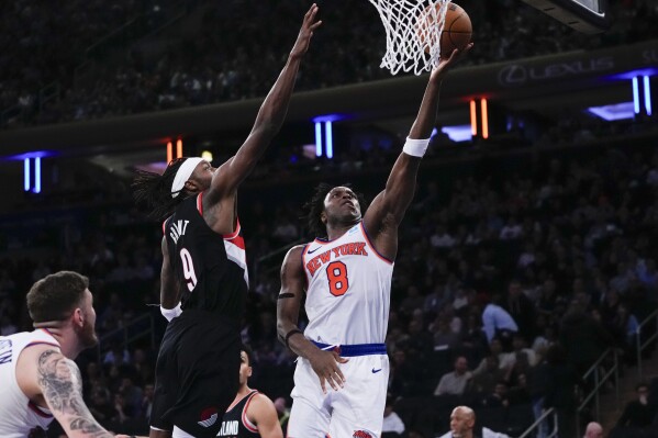 Trail blazers hotsell 23